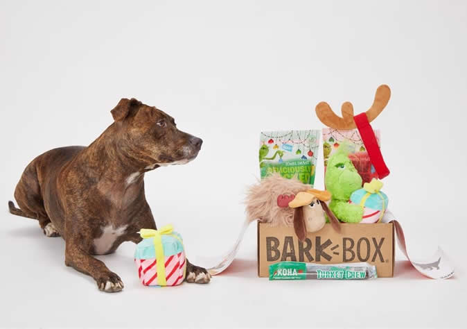 Barkbox dogs toys